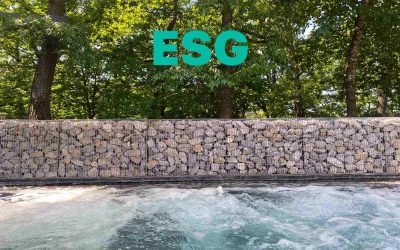 ESG, mint versenyelőny